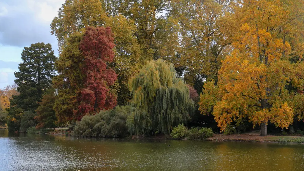 Lac du bois de Vincennes en automne