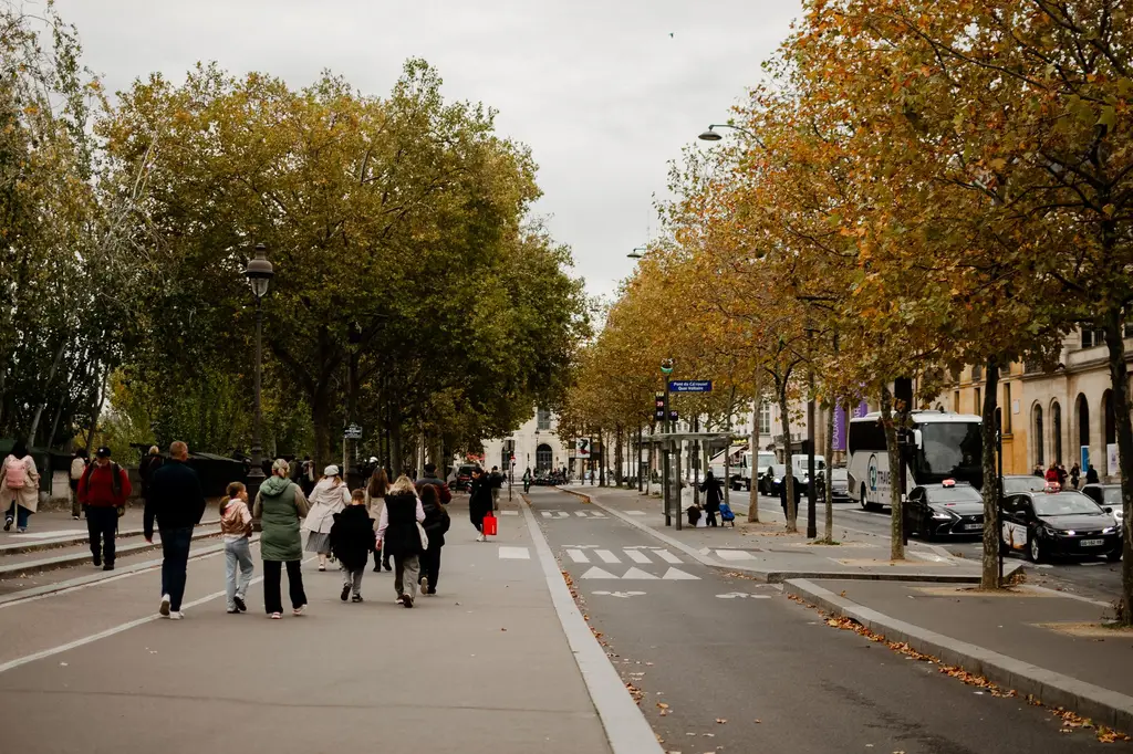 Rue parisienne arborée en automne